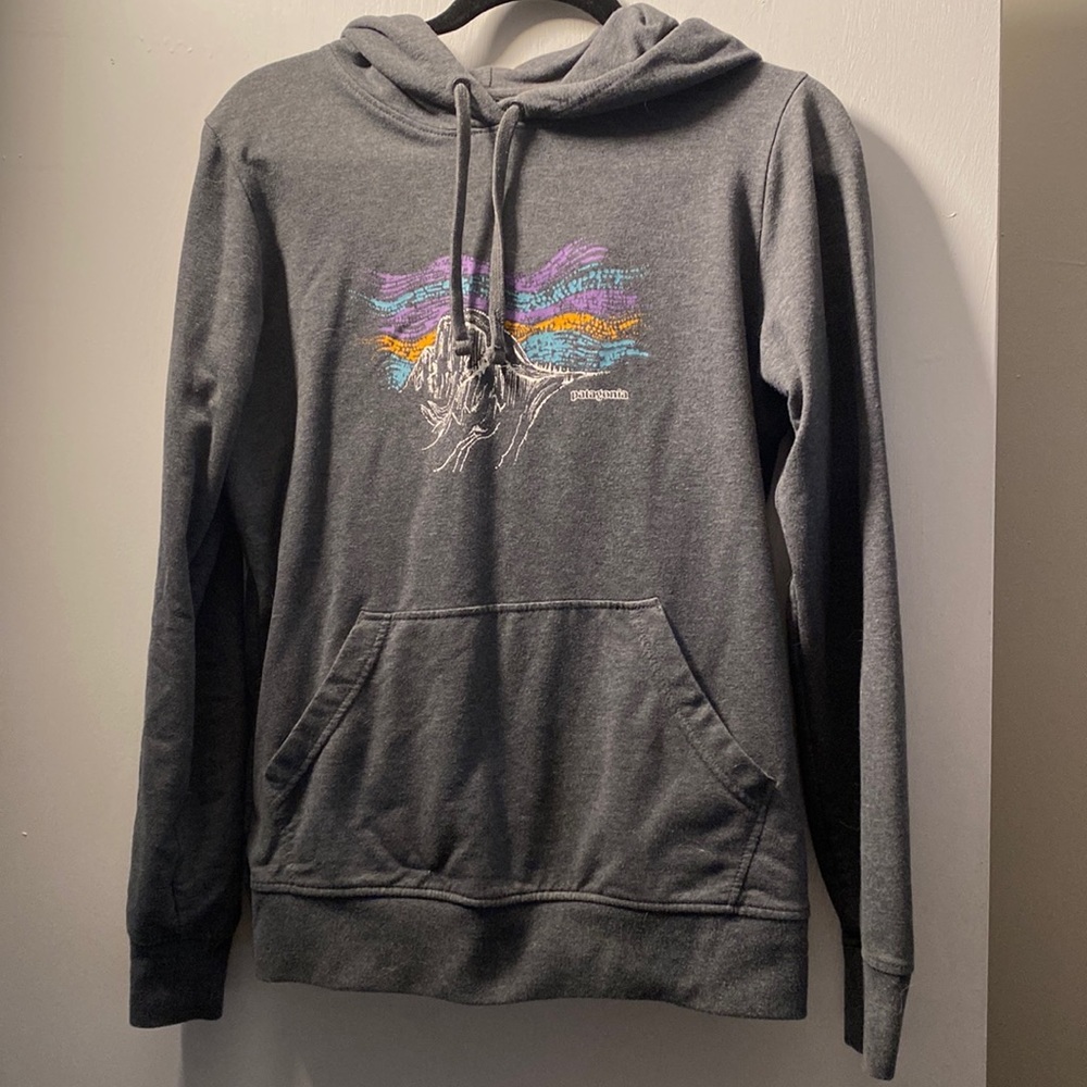 Patagonia women’s gray hoodie size medium